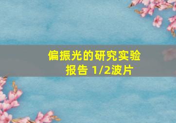 偏振光的研究实验报告 1/2波片